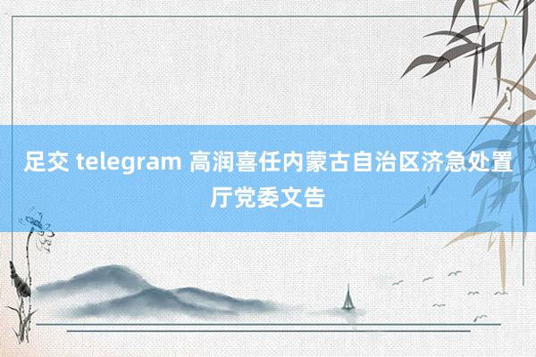 足交 telegram 高润喜任内蒙古自治区济急处置厅党委文告