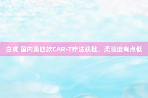 白虎 国内第四款CAR-T疗法获批，柔顺度有点低