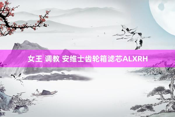 女王 调教 安维士齿轮箱滤芯ALXRH