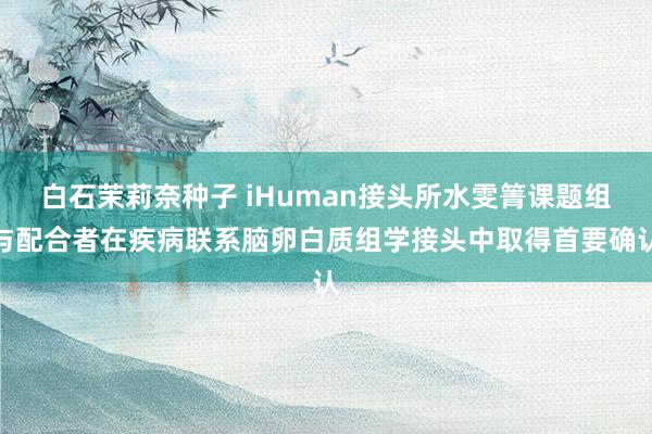 白石茉莉奈种子 iHuman接头所水雯箐课题组与配合者在疾病联系脑卵白质组学接头中取得首要确认